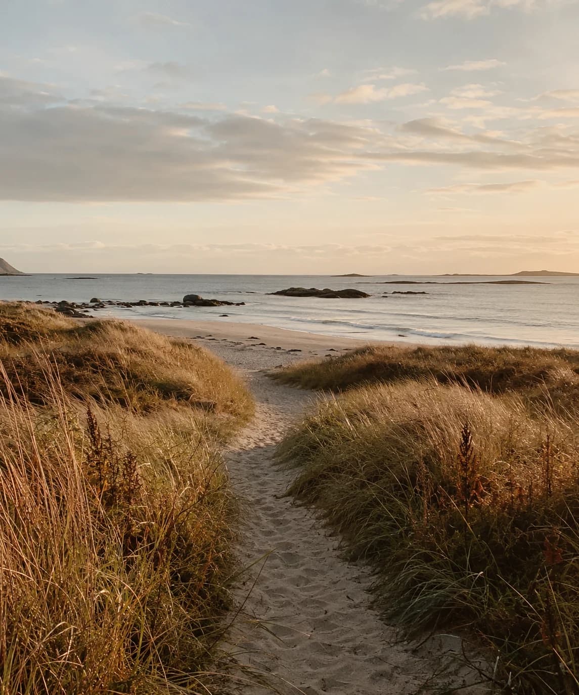 Sandsti mellom gress og stolper ved havet