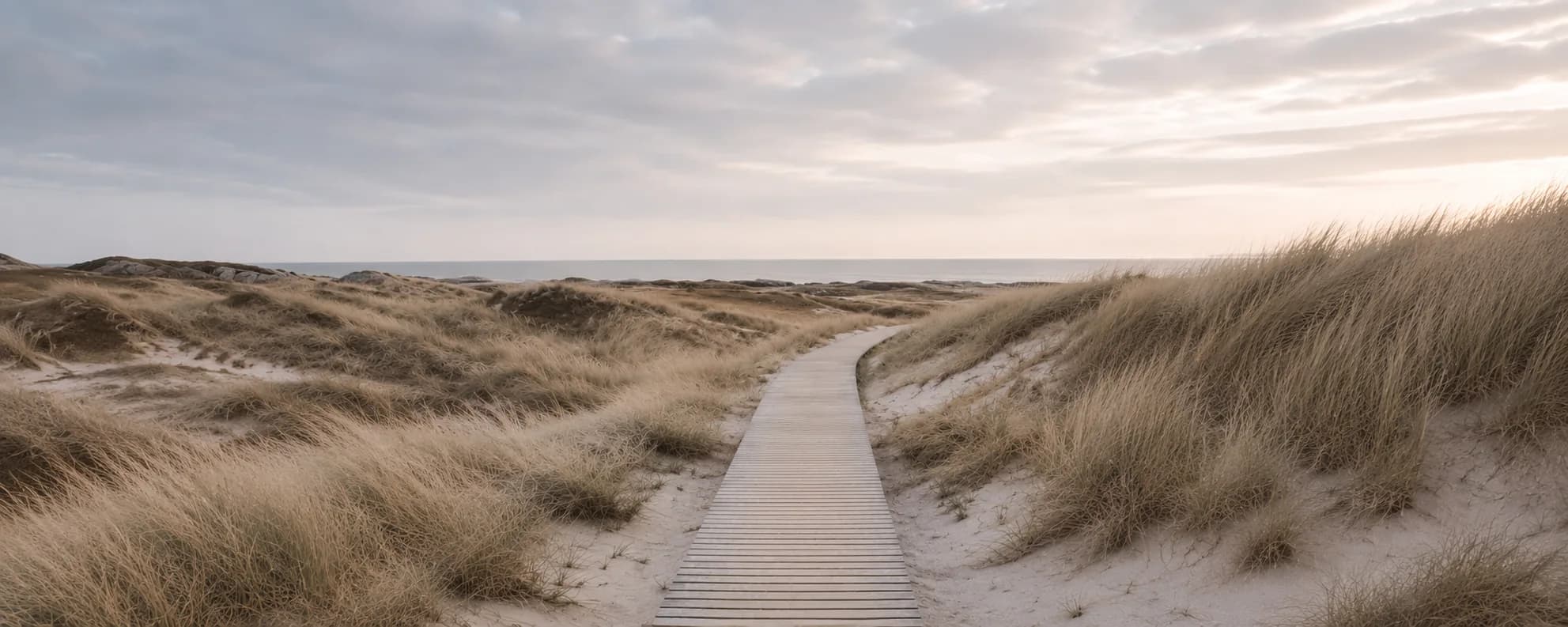 Boardwalk through sand dunes toward the sea