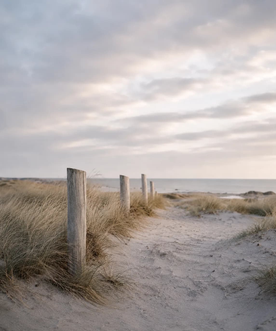 Sand path between grass and posts by the sea